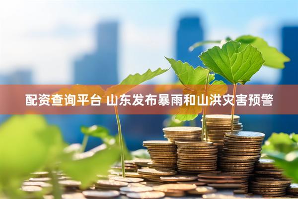 配资查询平台 山东发布暴雨和山洪灾害预警